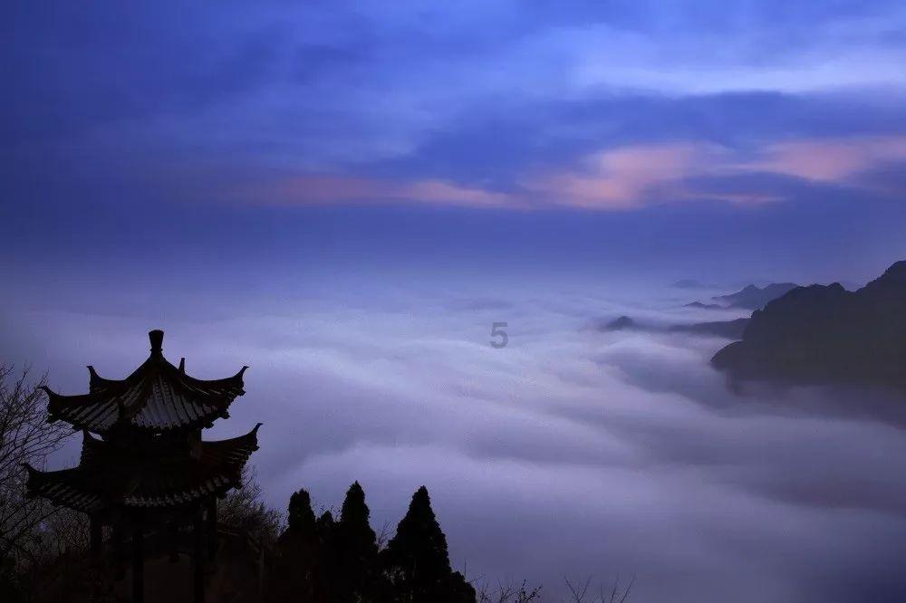 熊仔拼图