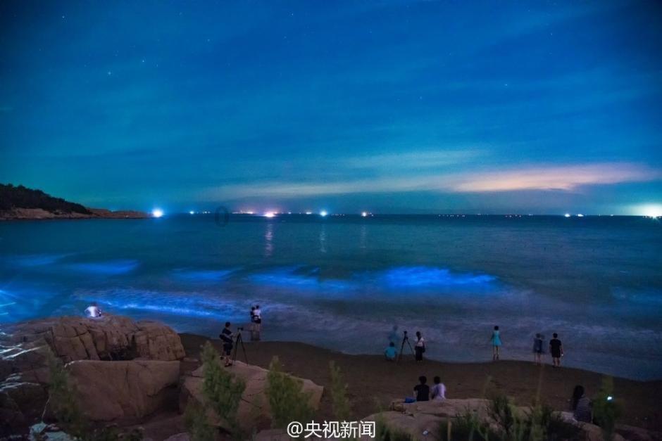 洛克王国