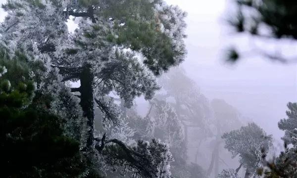 幻想纹章2.0