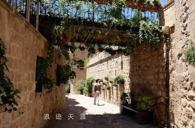 了解杨紫异性缘很好,但是为什么她一直没有男朋友?