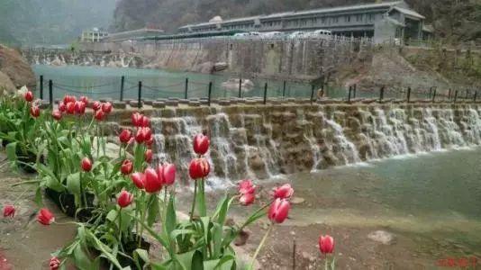 急救车争分夺秒路过十字路口,三车紧急让路