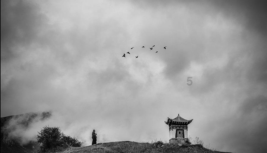 组装机械恐龙3
