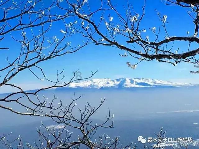 新大话3经典版