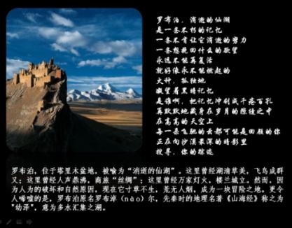 救援贪玩的大象
