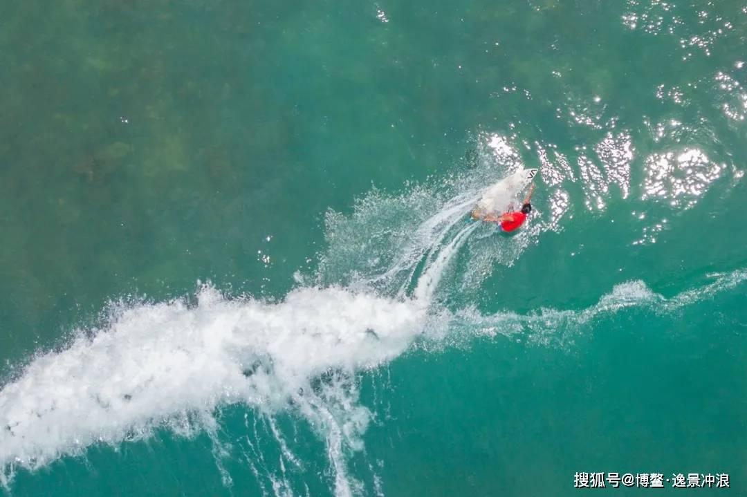”见行见效 津彩绽放”活动参赛作品：元旦合唱