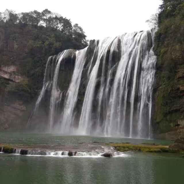 解救金刚鹦鹉