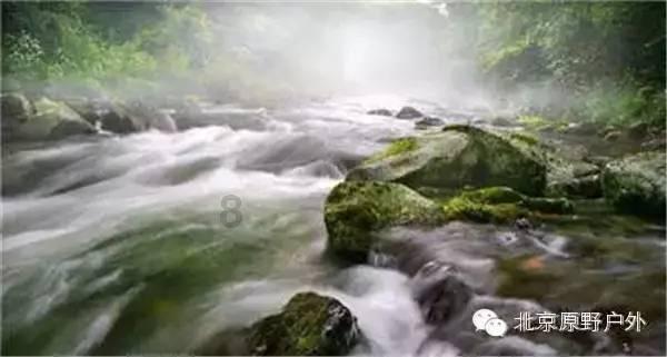 文怀沙爱吃肥肉爱喝酒,享年108岁有啥长寿秘诀?两粒“药”是关键