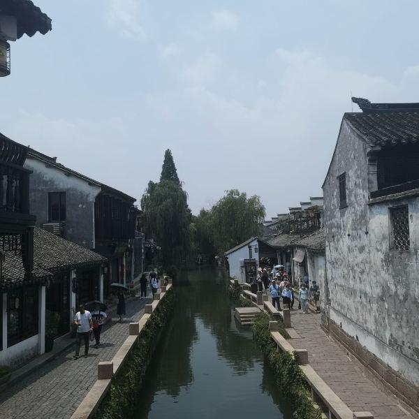 救援怒吼的狮子